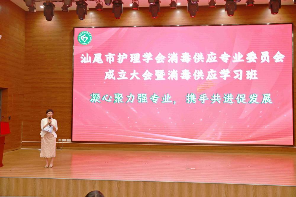 图14：汕尾市护理学会消毒供应专业委员会主任委员黄凤玉作大会总结